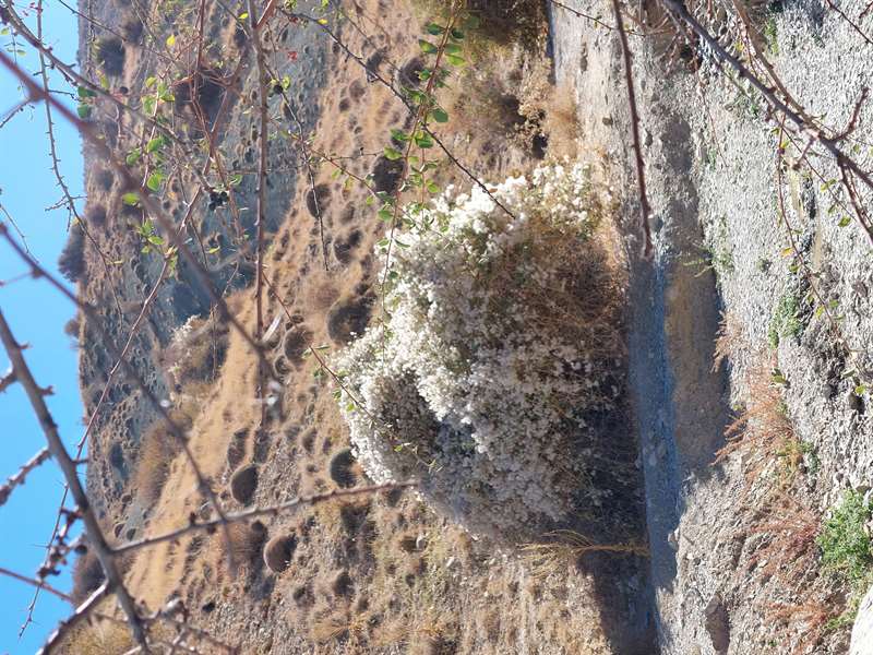 خراسان شمالی، شیروان، روستای چپانلو، قله کیسمار 