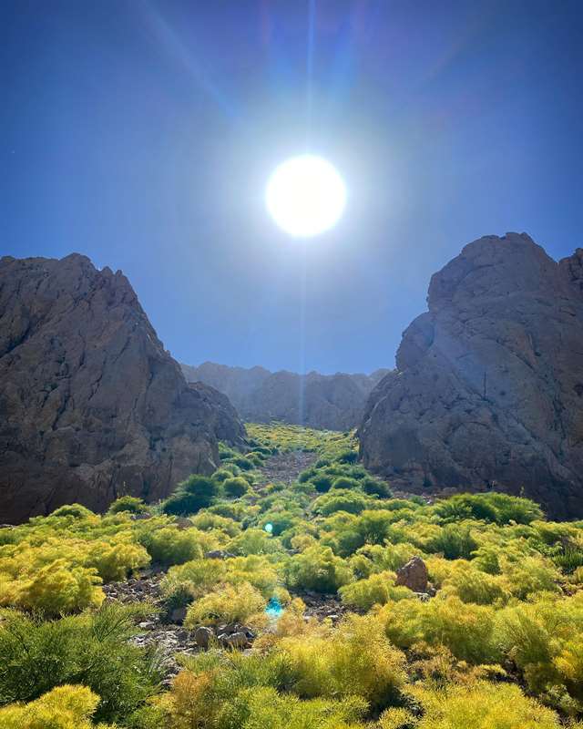 شاهو پاوه / قله سررینگه ناو