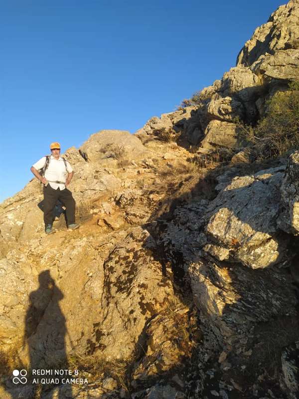 چال شانه دار (نورایی)