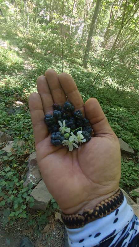 دره گنجشکها-دوچرخه کوهستان