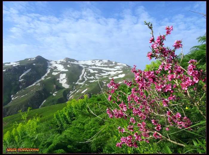 کوه چهل چشمه (قله های شاه نشین و قولی ذلیخا)
