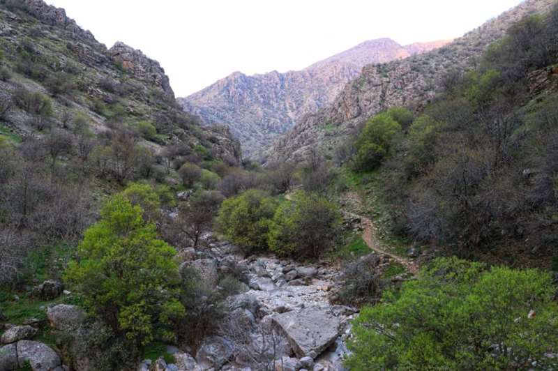 کوهپایه شاهو روستای تنگیور به سمت هوار هانیه