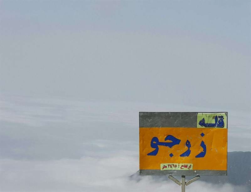 زرجو