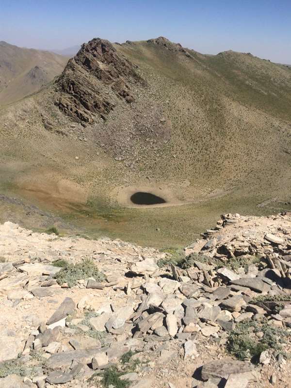 بلقیس