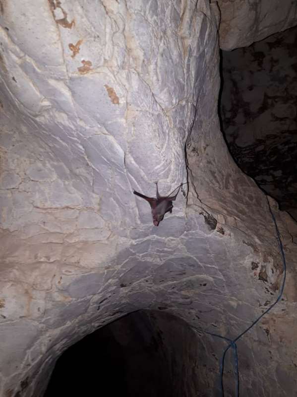 غار چرخ الماسی خفر جهرم