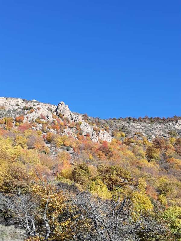 آسمانسرا یا آسمانکوه لوشان