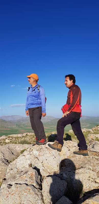 رگ سرنجه (نورایی)