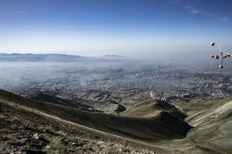 چین کلاغ