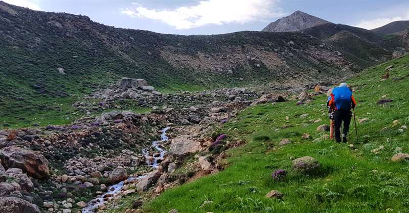 پرچنان(پیل باهون)