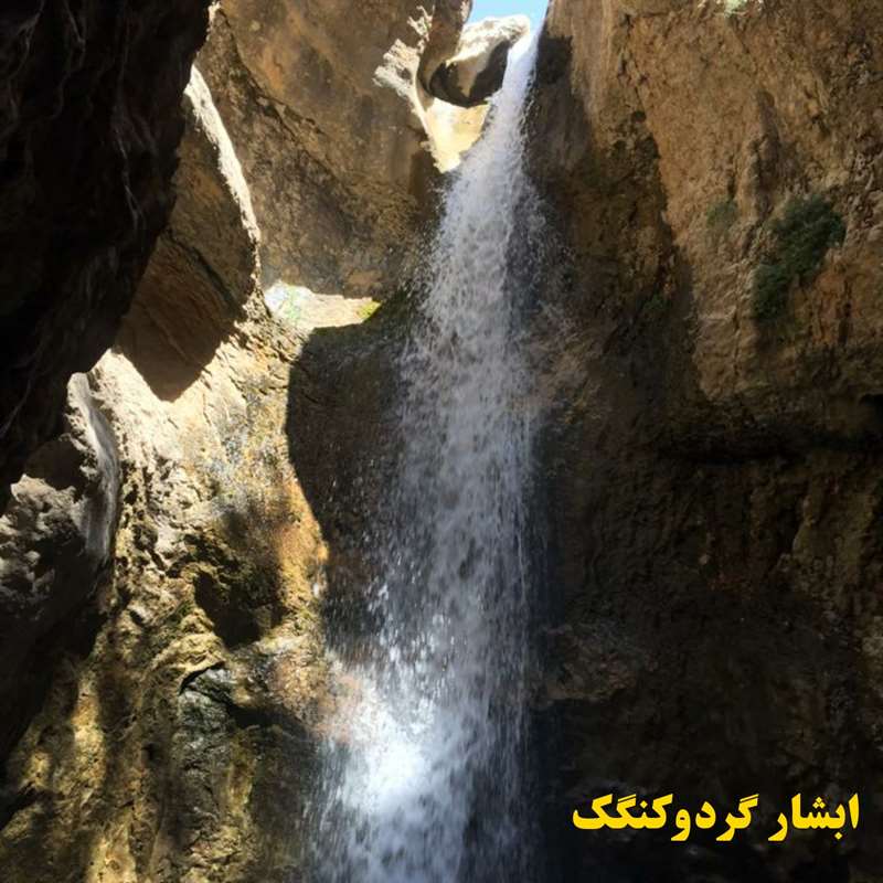  گردو تاک به گردو کنگک