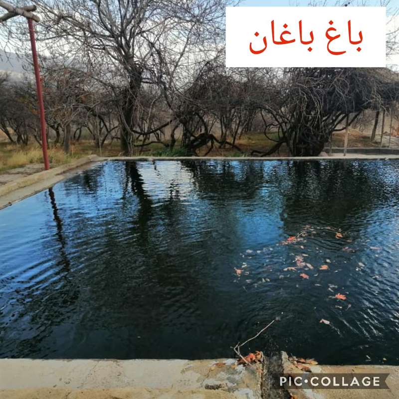 بند او رز