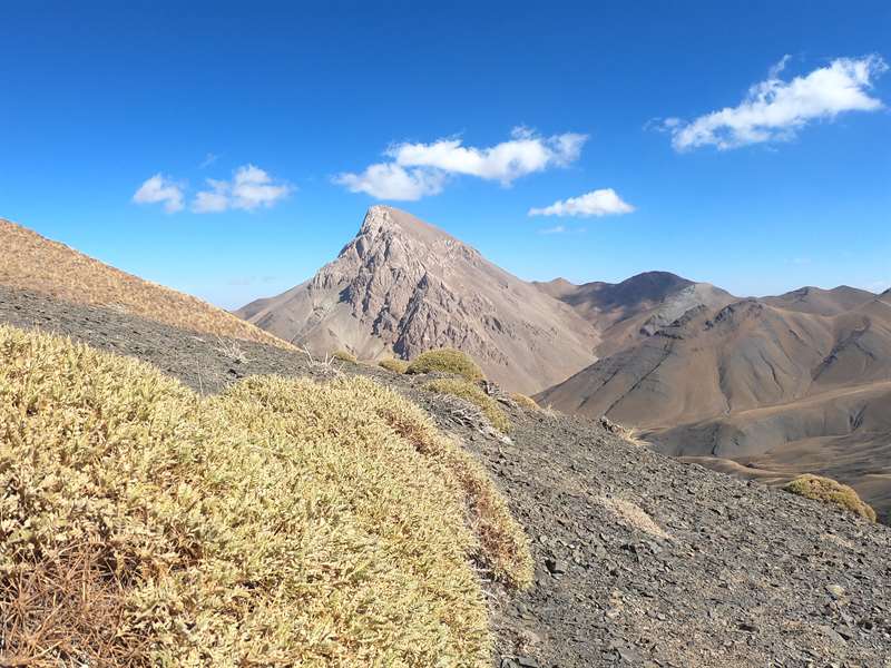 سوتک کوچک