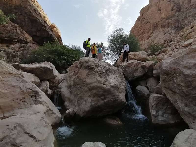 روستای طاغان به درخت جوز
