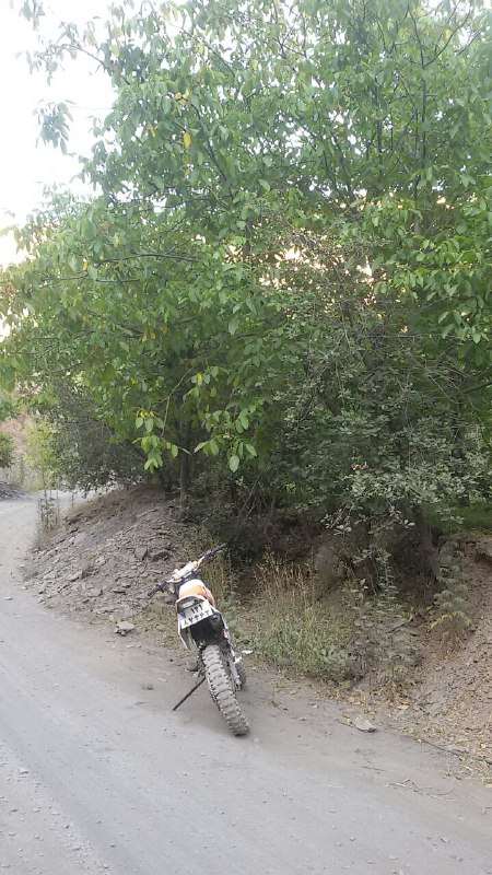 کنگ به فلسکه 