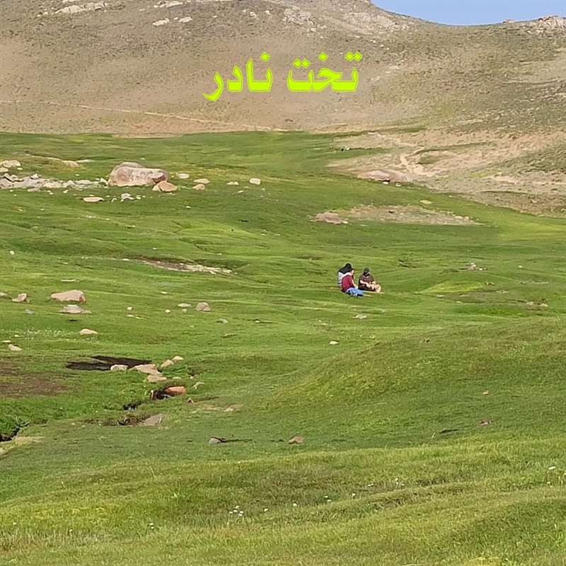 کلاغ لانه و الوند همدان