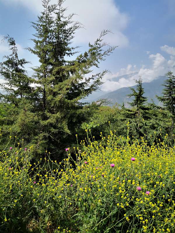 رکابزنی رزن به چمستان