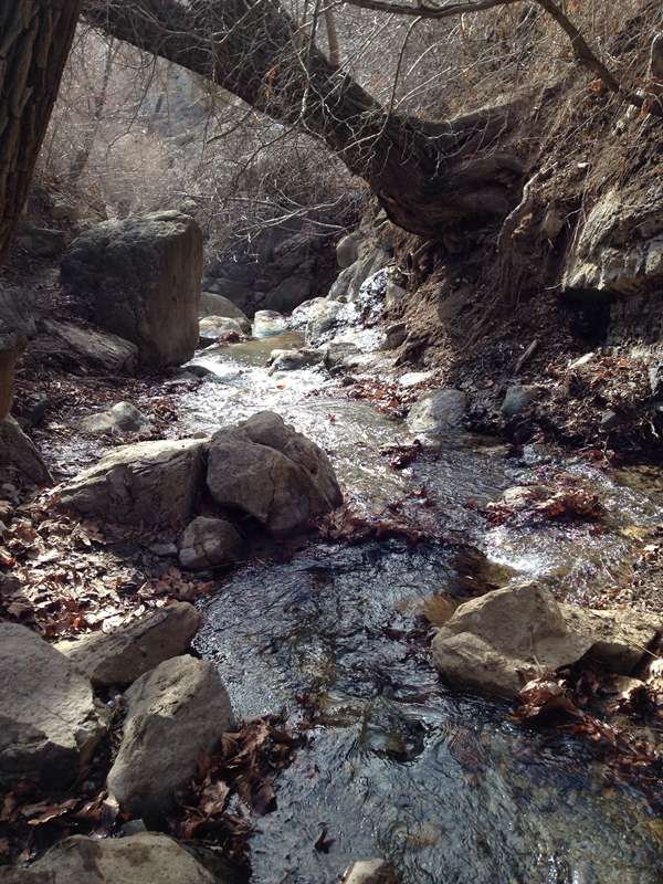 کهنه باغستان