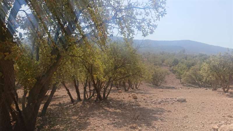 مسیر دسترسی 2 کوه قلعه سپیدان