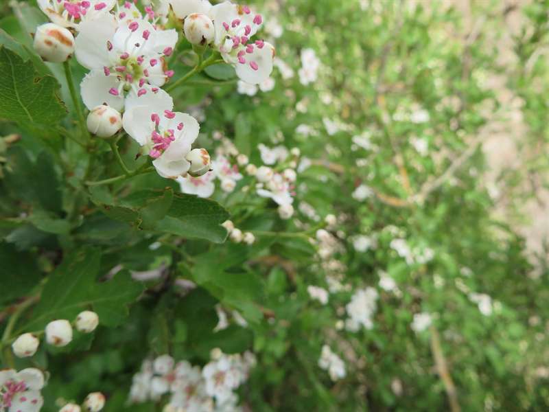 حصارک به سمت درکه
