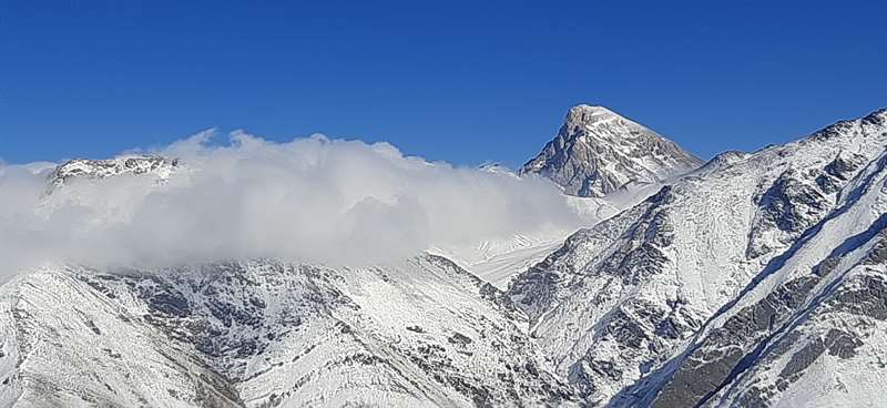 سکه نو
