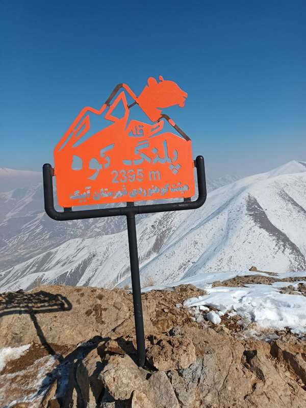 پلنگ کوه