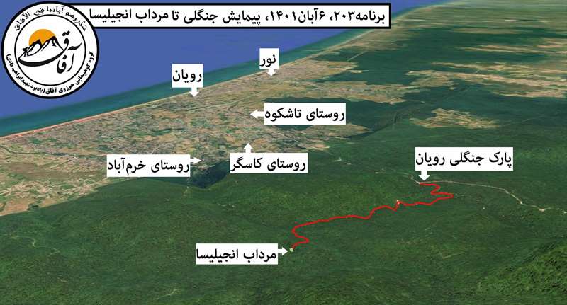 مرداب جنگلی انجیلیسا از پارک جنگلی رویان