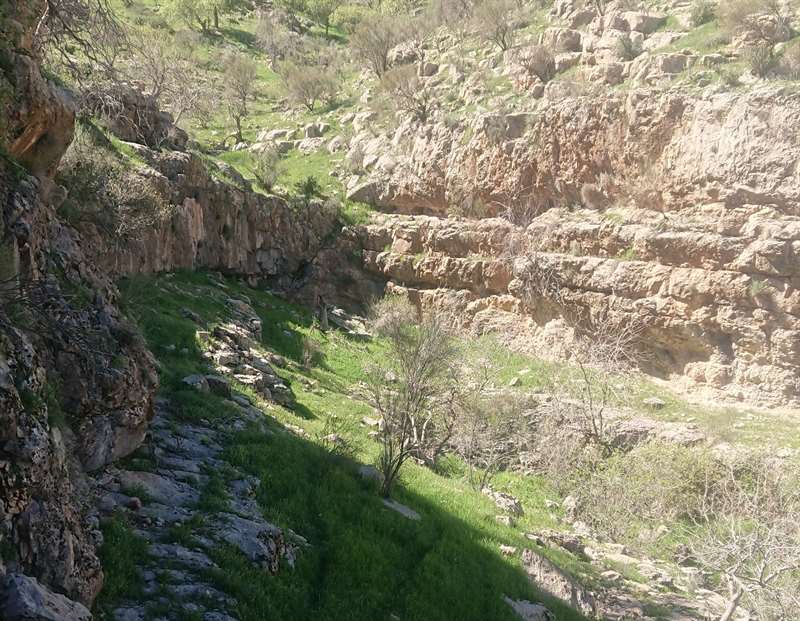 کوه سیبکی چنارشاهیجان