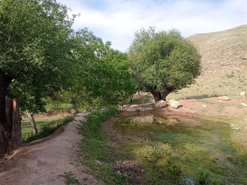شاه جهان بام خراسان شمالی با توضیحات کامل در ترک