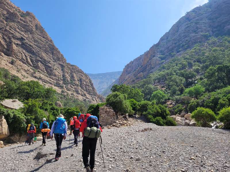  شیرکوه ، لالی